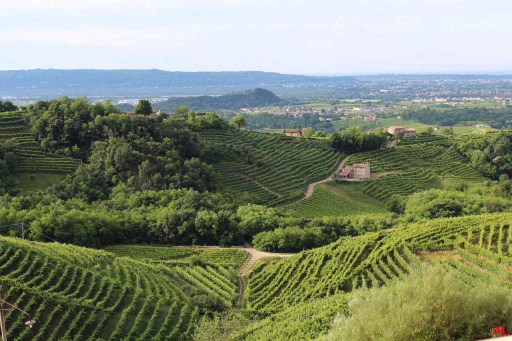 B&B Ca' Rina - I colli veneti