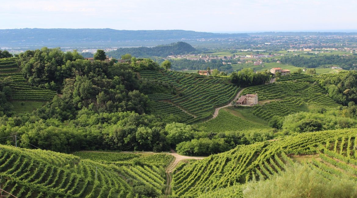 I colli veneti